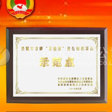 2015年3月：中共貴陽市委表彰先進獎牌高檔鈦金獎牌定制