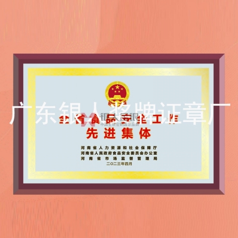 河南省政府食品安全工作先進集體獎牌定制
